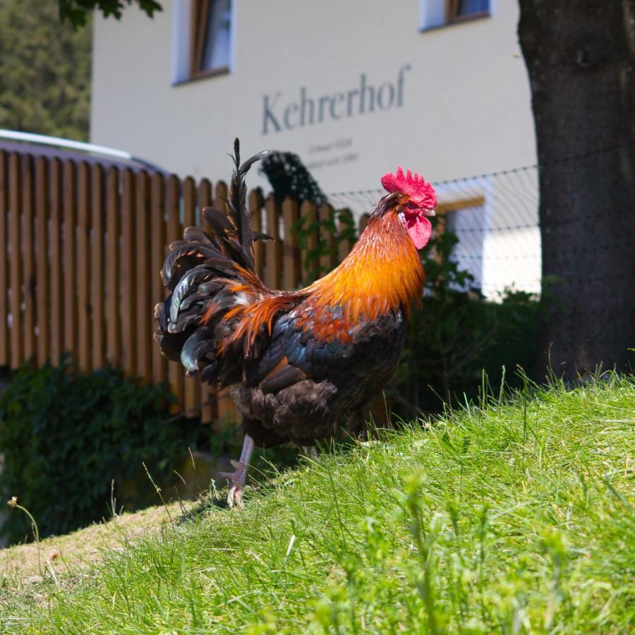 Kehrerhof Hotel Ellbögen Kültér fotó